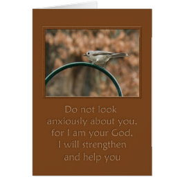 Cartão não olhe com ansiedade sobre seu pássaro na arca