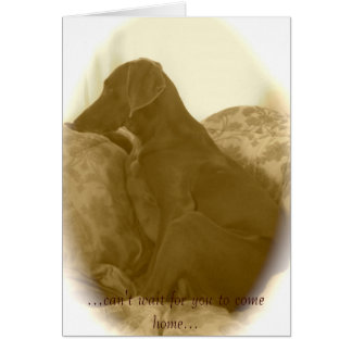 Cartão … não pode esperá-lo para vir em casa…