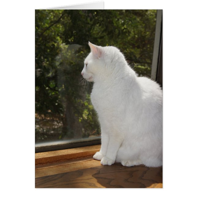 Cartão Não pode esperar para vê-lo (Frente)