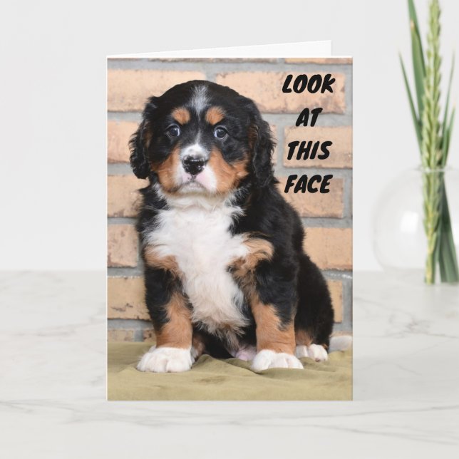 CARTÃO NÃO POSSO DIZER EM PESSOA TÃO TRISTE (Frente)