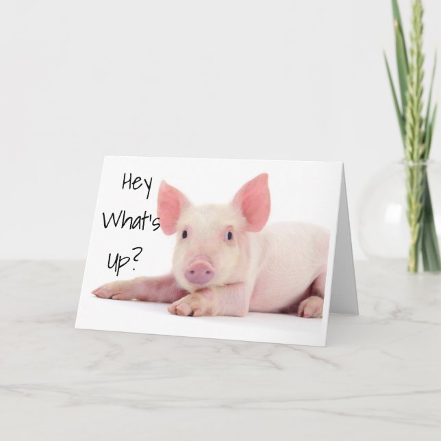 CARTÃO NÃO SE PREOCUPE COM O PIG "60" NÃO É TÃO RUIM!! (Frente)