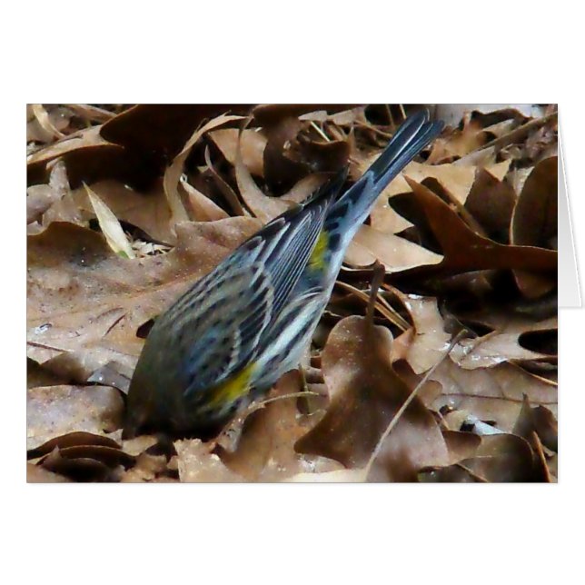 Cartão Não seja tímido! (Frente Horizontal)