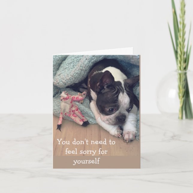 Cartão Não sinta pena (Frente)