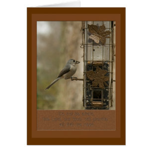 Cartão não tenha medo que Deus forneça pássaro no aliment