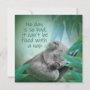 Cartão Nap Koala
