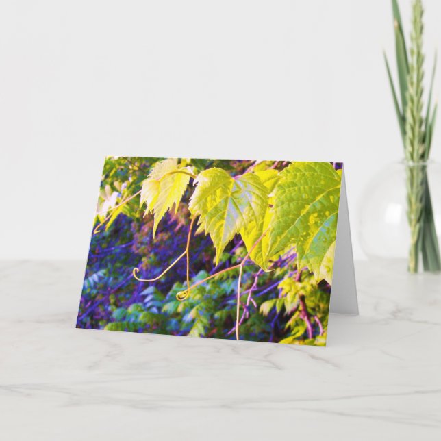 Cartão Napa Valley (Frente)