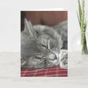 Cartão Napby Cat Notecard