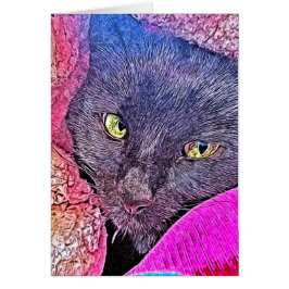 Cartão Napoleão num cobertor