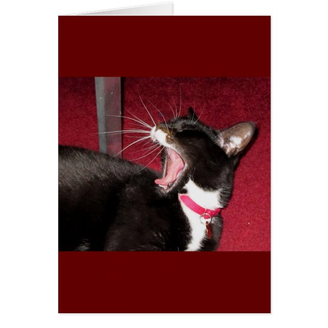 Cartão Naptime para Lucy (Frente)