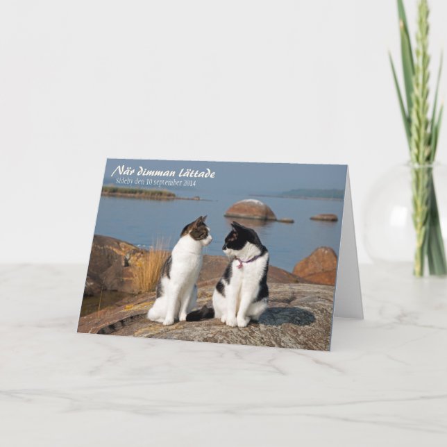 Cartão När dimman lättade CC0548 Sideby Greeting Card (Frente)