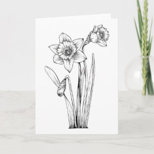 Cartão Narciso Narcisos Flores Floral Primavera Páscoa