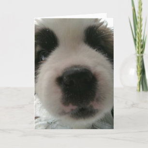 Cartão Nariz de Cachorrinho Engraçado