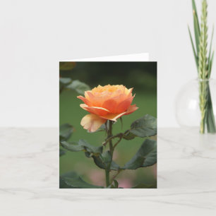 Cartão nariz de rosa de pêssego inspirador