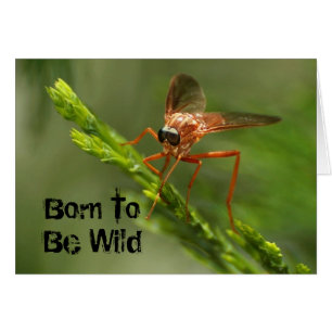 Cartão Nascer a ser selvagem
