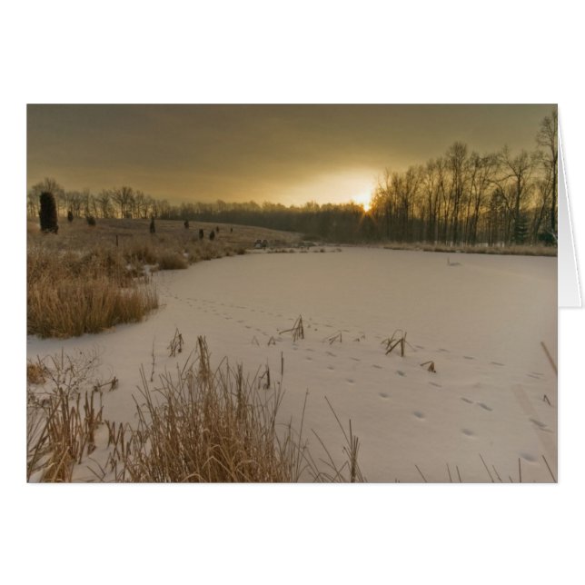 Cartão Nascer do sol do inverno de Gorman (Frente horizontal)