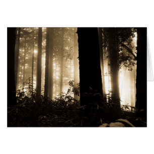 Cartão Nascer do sol nevoento