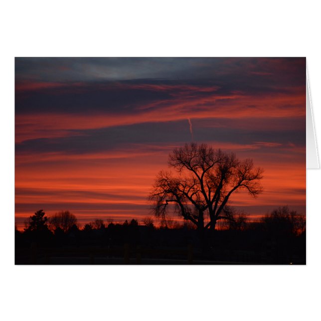 Cartão Nascer do sol no lago harper (Frente Horizontal)