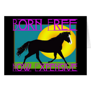 Cartão Nascer livre - agora caro