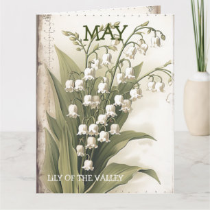 Cartão Nascimento Mês da Flor Maio à Lily Aniversário