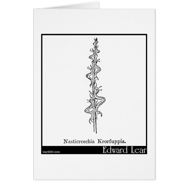 Cartão Nasticreechia Krorluppia. (Frente)
