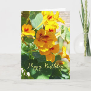 Cartão Nasturtium Birthday