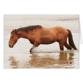 Cartão Natação da manhã para um cavalo