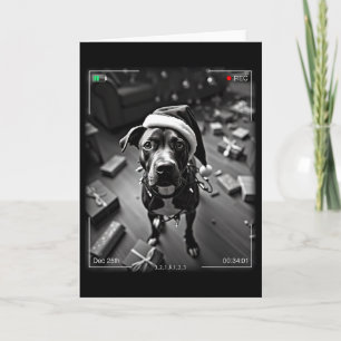 Cartão Natal American Staffordshire Terrier Flagrado Em