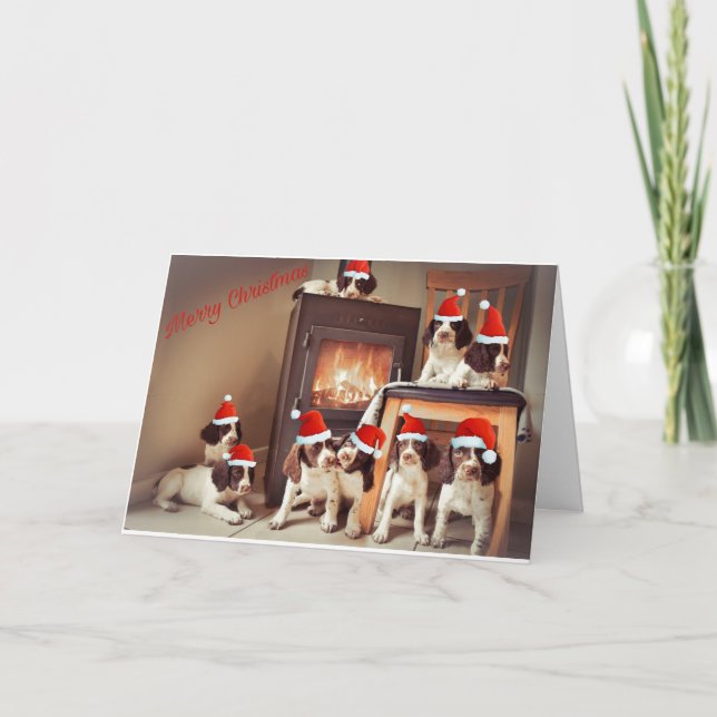 Cartão Natal cachorrinho Springer (Frente)