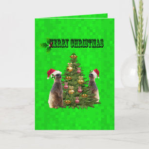 Cartão Natal Com Os Suricatos,