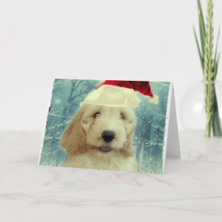 Cartão Natal de Cockapoo