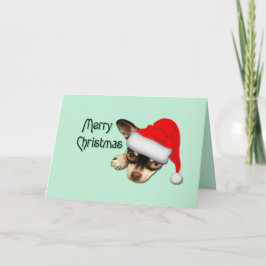 Cartão Natal de preto e tan Chihuahua Santa