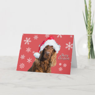 Cartão Natal Divertido Cachorro Alegre no Chapéu do Papai