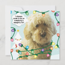 Natal do Goldendoodle, Diversão do Doodle