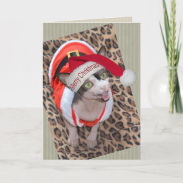 Cartão Natal do papai noel de Ninja do gato de Sphynx