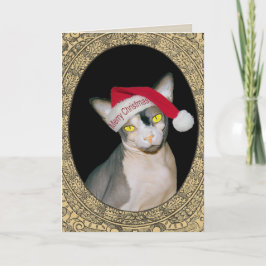Cartão Natal do papai noel do gato de Sphynx