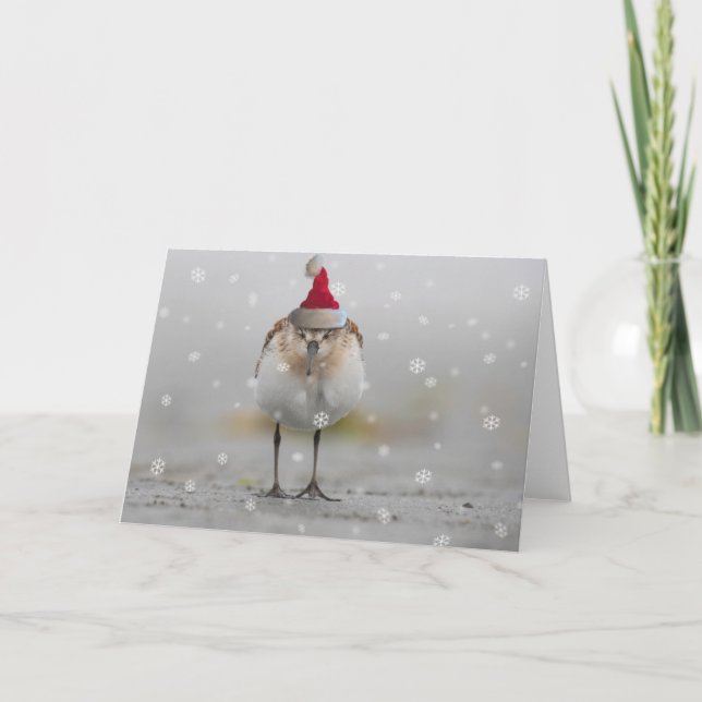 Cartão Natal dos Maçaricos Sonolentos (Frente)