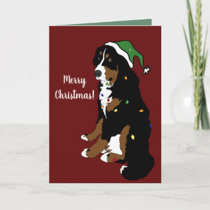 Cartão Natal Feriado Bernese Mountain Dog