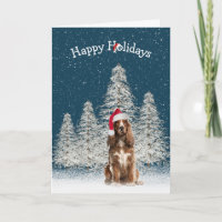 Natal - Inglês Springer Spaniel