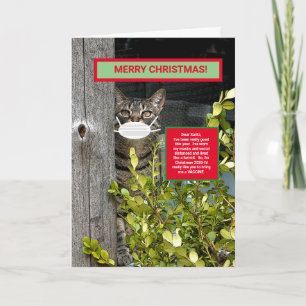 CARTÃO NATAL/MÁSCARA/VACINA VESTIDA KITTEN PARA O NATAL
