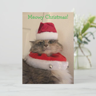 Cartão Natal Meowy