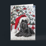 Cartão Natal - Terrier on fur<br><div class="desc">Um cão negro escocês aterrorizante vestindo um chapéu de Papai Noel sentado em um tapete liso em frente a uma festiva árvore de Natal enfeitiçada com luzes e arcos vermelhos. O texto pode ser alterado.</div>
