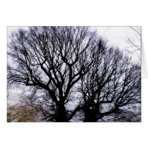 Cartão natural de inverno