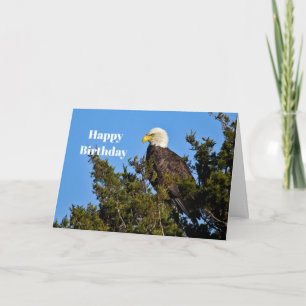 Cartão Nature Bald Eagle Wildlife Foto Birthday