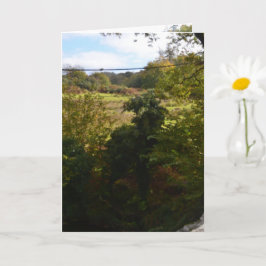 Cartão nature way of impersonating animals