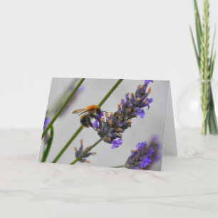 Cartão Natures WonMaravilha Workers