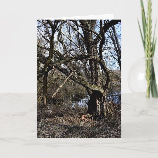 Cartão Natureza das zonas rurais (Frente)