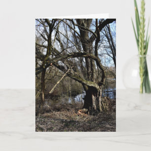 Cartão Natureza das zonas rurais