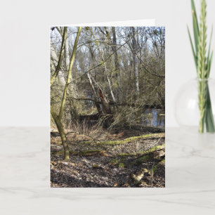 Cartão Natureza das zonas rurais