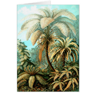 Cartão Natureza de Ernst Haeckels Kunstformen