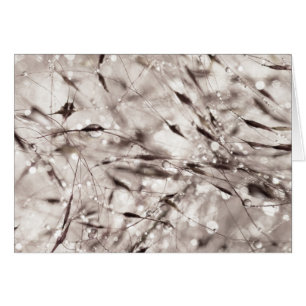 Cartão Natureza de poeira de laranja Abstrato branco pret